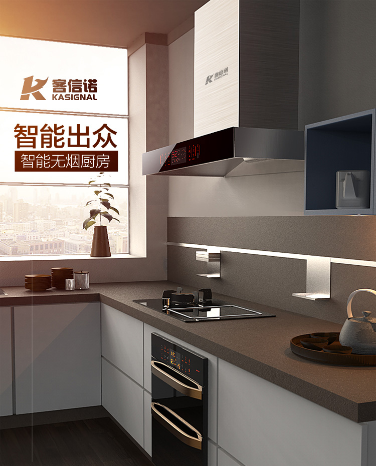 厨房油烟机燃气灶具消毒柜