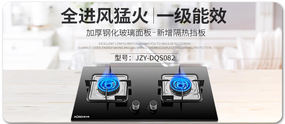 AOSD澳士顿燃气灶—嵌入双灶