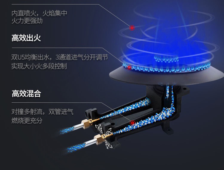 分体式燃烧系统